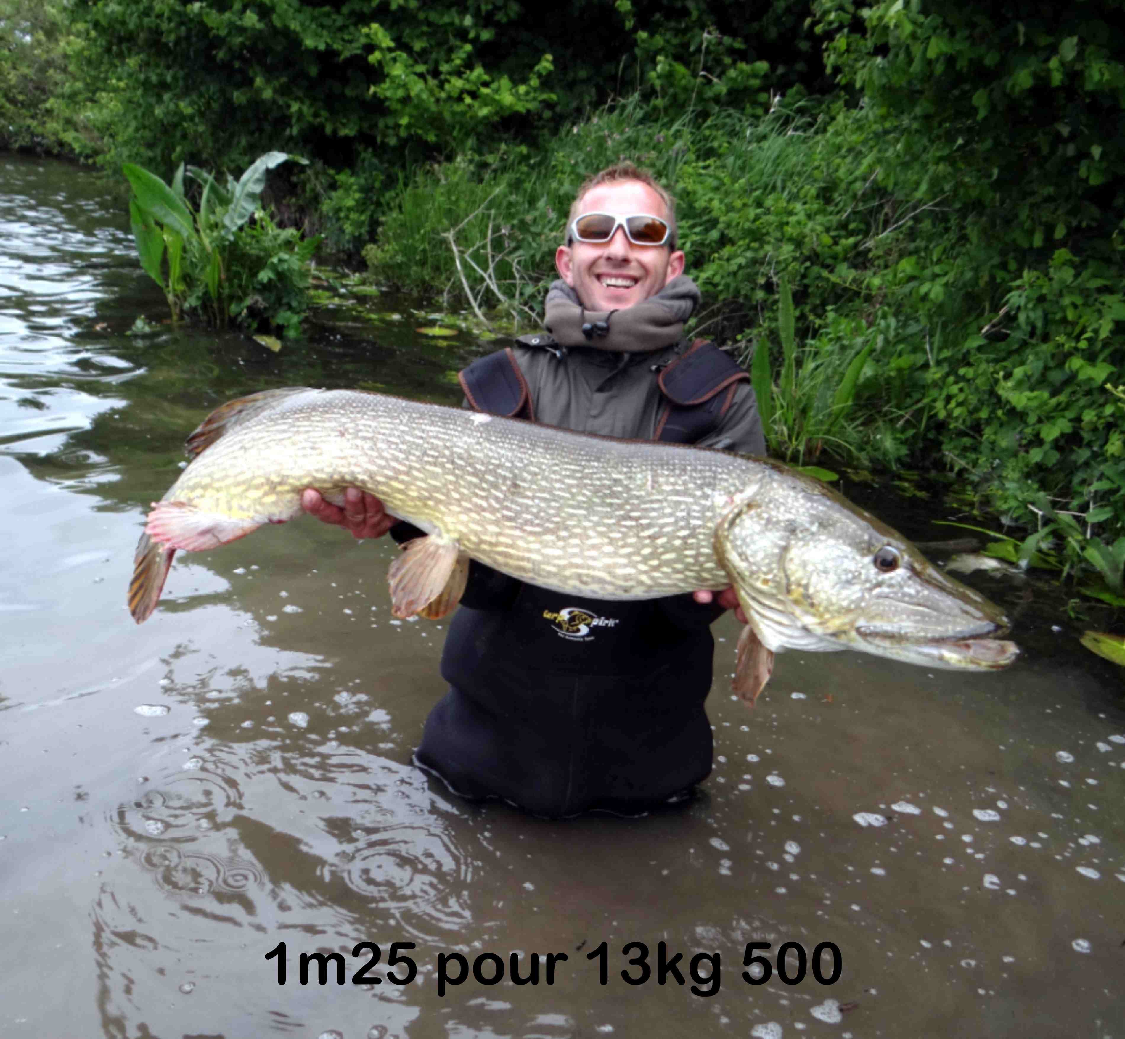Voir l'image brochet_record.JPG en taille réelle