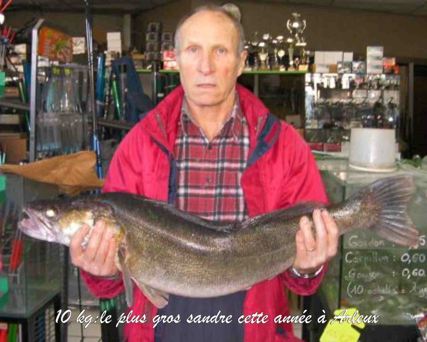 Voir l'image gros sandre.jpg en taille réelle
