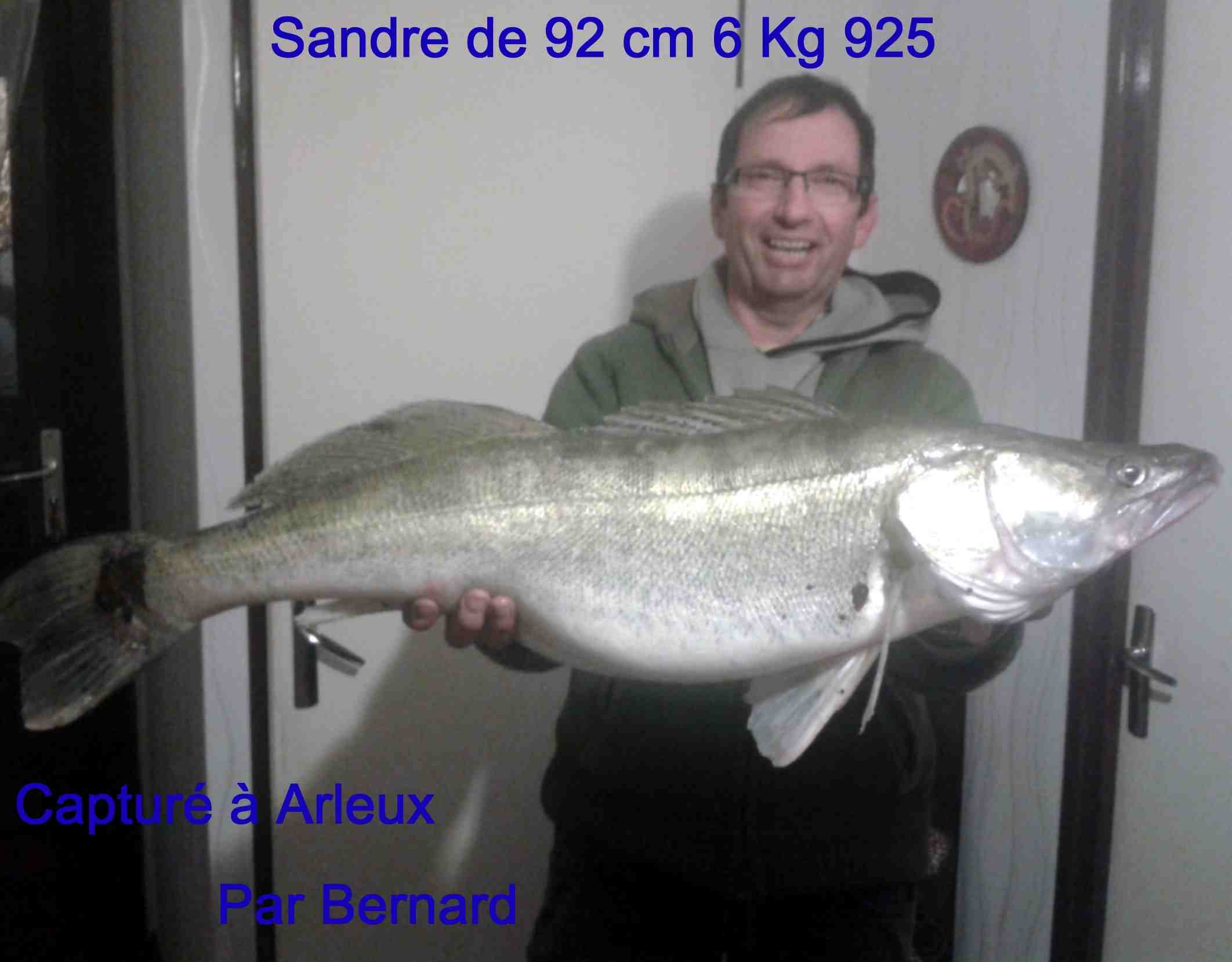 Voir l'image sandre2013.jpg en taille réelle