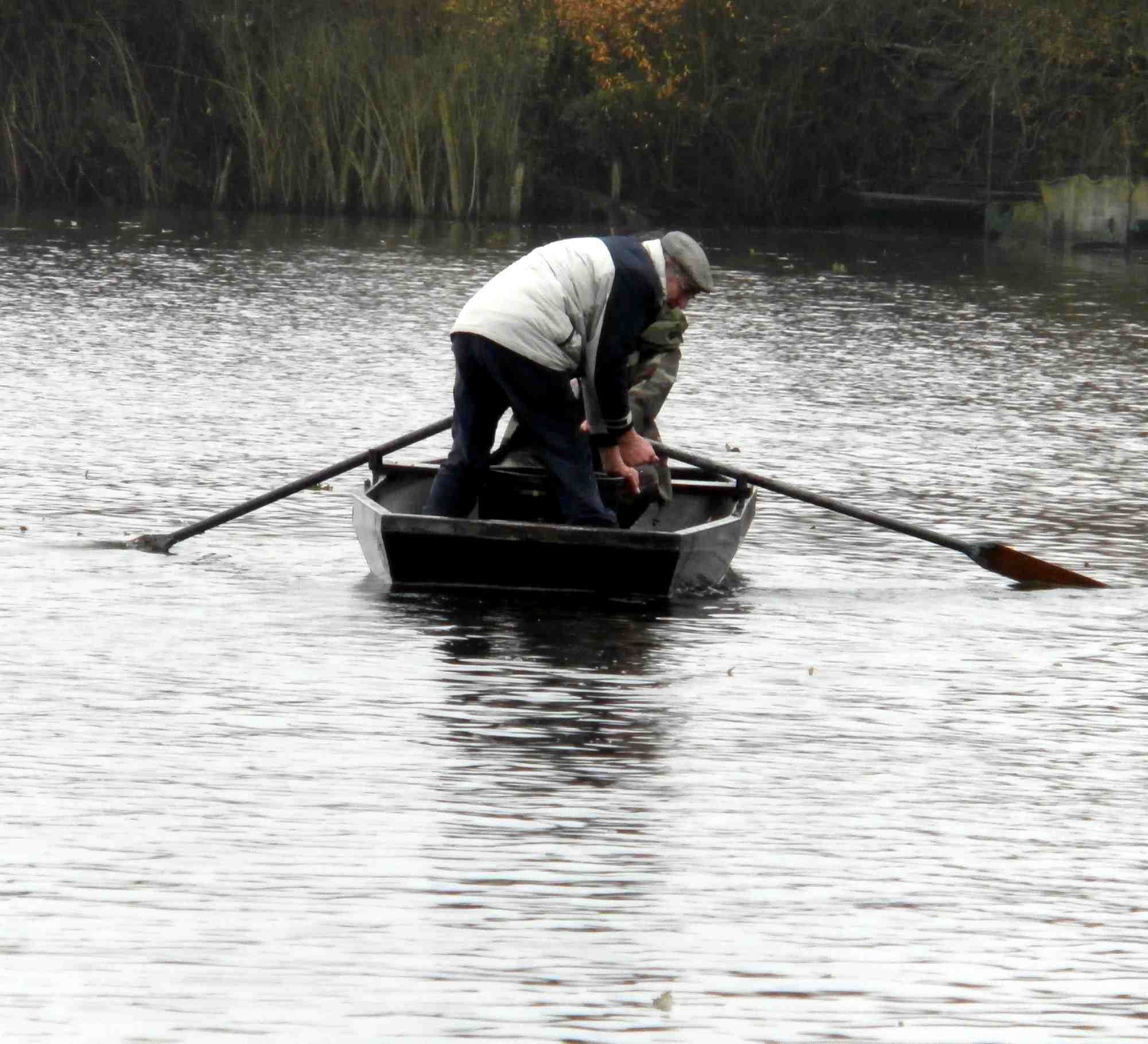 Voir l'image 03.JPG en taille réelle